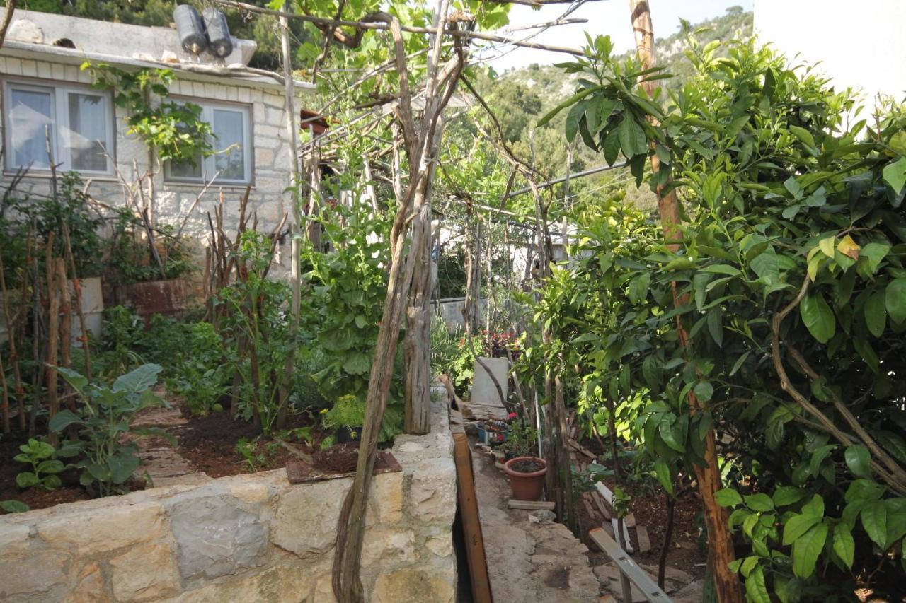 Seaside Secluded Apartments Cove Smokvina, Hvar - 4036 Bogomolje Exterior photo